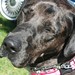 Doris Mcgee Photo 13