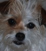 Nancy Mckay Photo 14