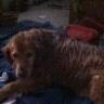 Holly Locke Photo 16