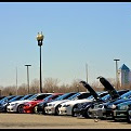 Stephen Black Photo 41
