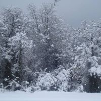 Jeff Vick Photo 2