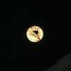 Sandra Cowley Photo 23