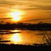 Karen Marsh Photo 23