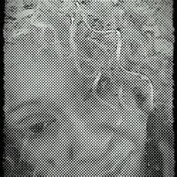 Carla Mann Photo 27