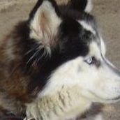 Faith Schultz Photo 6