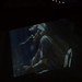Kelly Root Photo 18