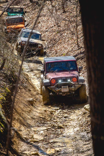 Shannon Ratliff Photo 8 Shannon Ratliff Photo 8