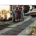 Judy Stanley Photo 14