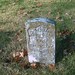 Charles Marsh Photo 46