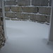 Melissa Blevins Photo 14