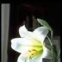 Michelle Byrd Photo 28