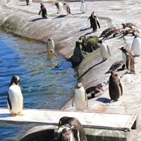 Julie Senger Photo 9