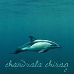 Chirag Patel Photo 14