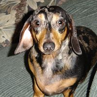 Deborah Robison Photo 22