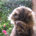 Rob Robson Photo 4