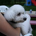 Amy Bartlett Photo 31