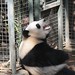 Stephen Lin Photo 35