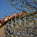 Sharon Roller Photo 10