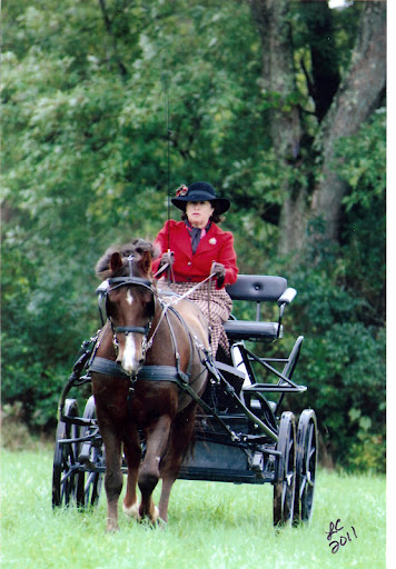 Carol Frank Photo 48