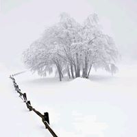 Jennifer Sedam Photo 2