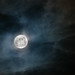 Victoria Moon Photo 40