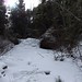 Robin Mcdougall Photo 16