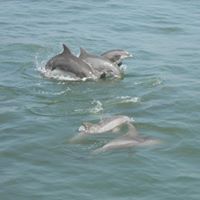 Kimberly Roth Photo 44