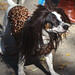 Russell Tompkins Photo 6