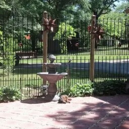 Janice Lankford Photo 18