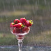 Rain Warren Photo 5