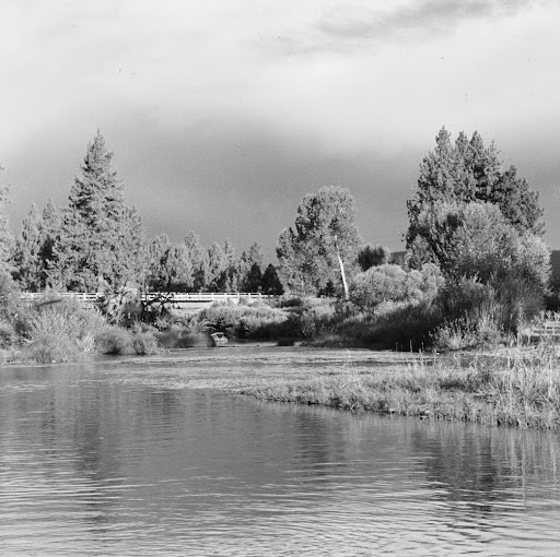 Kelly Murray Photo 16