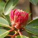 Coral Anderson Photo 15