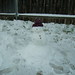 Melissa Wray Photo 14