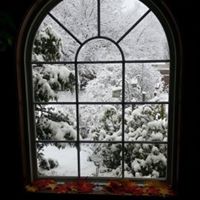 Barbara Waite Photo 18