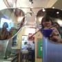 Veronica Chan Photo 26