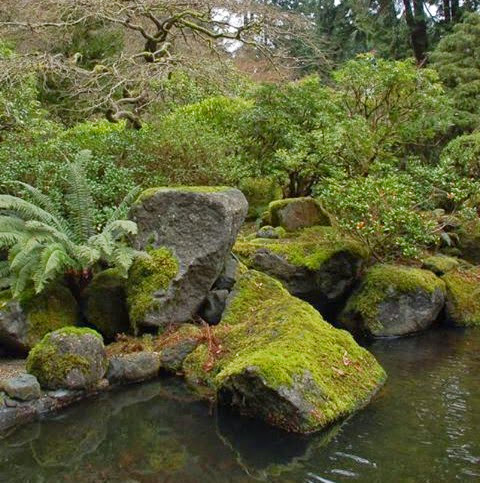 John Howell Photo 28