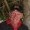 Brian Clapp Photo 9