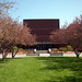 Sara Snell Photo 18