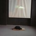 Thomas Schaffner Photo 10
