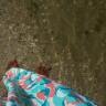 Marcella Phillips Photo 8