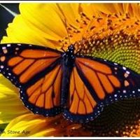Heather Rinaldi Photo 8