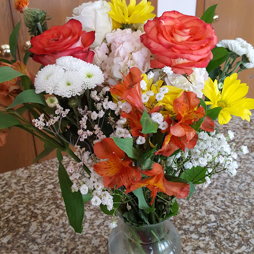 Susan Delong Photo 32