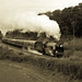 Arthur Lane Photo 24
