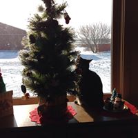 Janice Hoke Photo 7