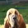 Mark Bevilacqua Photo 15