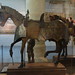 Albert Armour Photo 8