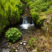 Douglas Mackay Photo 35