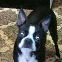 Linda Slagle Photo 22