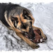 Crystal Baer Photo 18