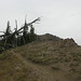 Miles Miller Photo 13
